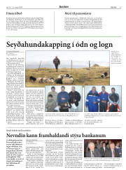Síða 15
