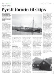 Síða 28