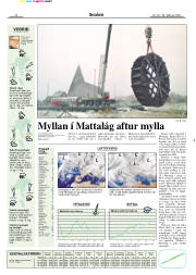 Síða 17