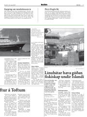 Síða 17