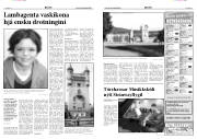 Síða 5