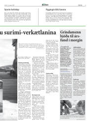 Síða 8