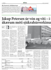 Síða 13