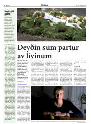 Síða 27