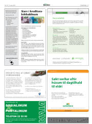 Síða 46