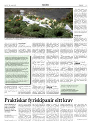 Síða 19