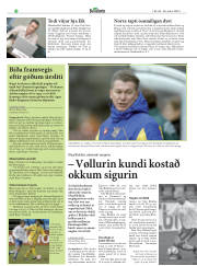 Síða 26