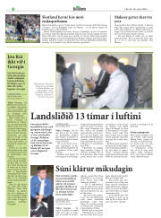 Síða 28