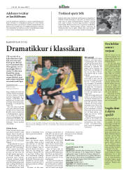 Síða 29
