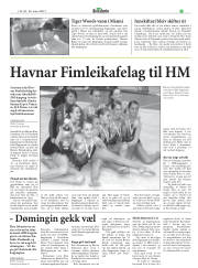 Síða 31