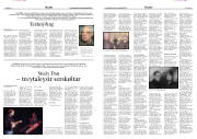 Síða 13