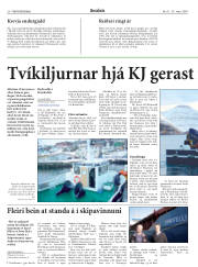 Síða 20