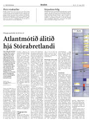 Síða 22