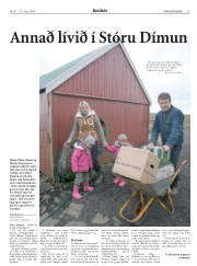 Síða 25