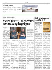 Síða 29