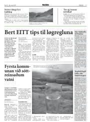 Síða 17