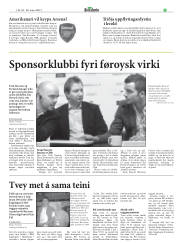 Síða 29