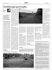 Síða 11