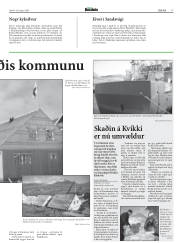 Síða 17