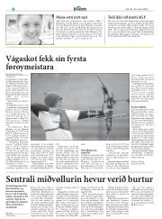 Síða 22