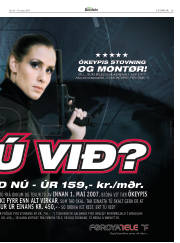 Síða 29