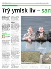 Síða 10