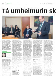 Síða 20