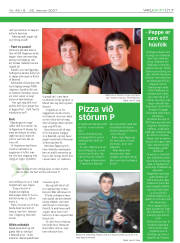 Síða 17