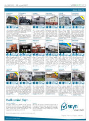 Síða 11