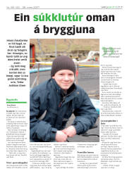 Síða 17