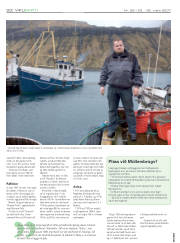 Síða 20