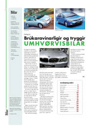 Síða 2