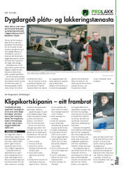 Síða 9