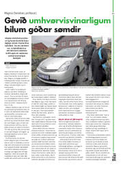 Síða 17