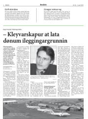 Síða 8