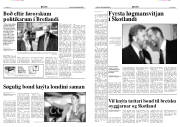 Síða 4