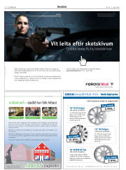 Síða 22