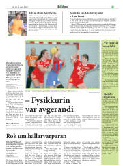 Síða 25