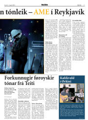 Síða 17