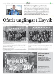 Síða 29