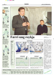 Síða 15