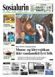 Síða 1