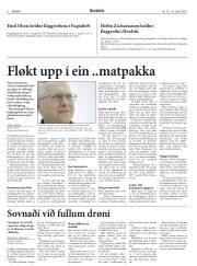 Síða 6
