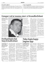 Síða 8