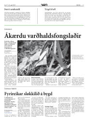 Síða 17