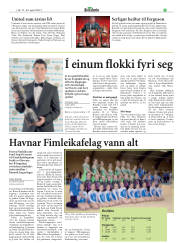 Síða 3