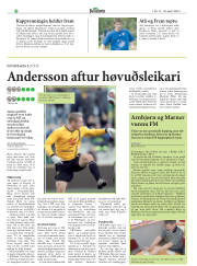 Síða 6