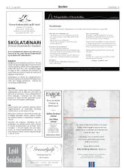 Síða 17
