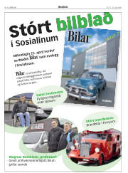 Síða 20