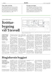 Síða 8